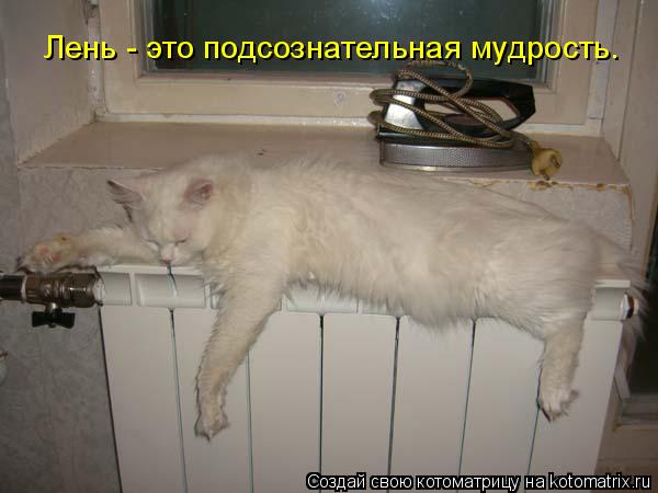 Лень - это подсознательная мудрость.... Котоматрица: Лень - это подсознательная мудрость.