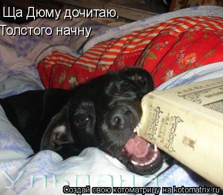 Ща Дюму дочитаю, Толстого начну... Котоматрица: Ща Дюму дочитаю, Толстого начну