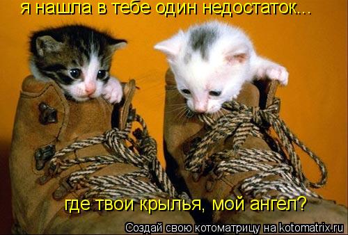 я нашла в тебе один недостаток... где твои крылья, мой ангел?... Котоматрица: я нашла в тебе один недостаток... где твои крылья, мой ангел?