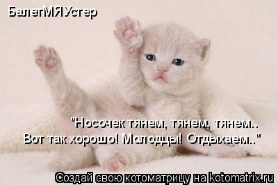 БалетМЯУстер "Носочек тянем, тянем, тянем.. Вот так хорошо! Молодцы! Отдыхаем.."... Котоматрица: БалетМЯУстер "Носочек тянем, тянем, тянем.. Вот так хорошо! Молодцы! Отдыхаем.."