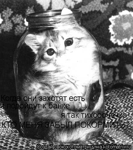 Котоматрица: Когда они захотят есть и подойдут к банке Когда они захотят есть и подойдут к банке я так тихооонечко КТО МЕНЯ ЗАБЫЛ ПОКОРМИТЬ?