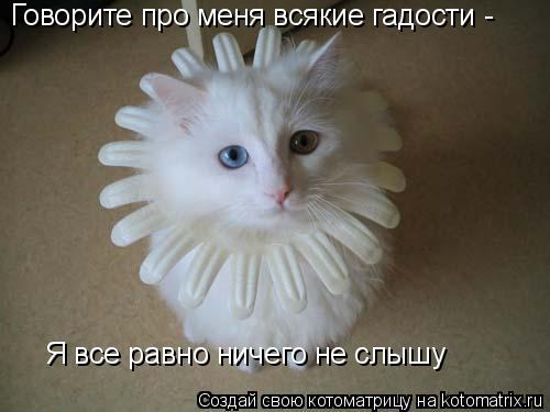 Говорите про меня всякие гадости - Я все равно ничего не слышу... Котоматрица: Говорите про меня всякие гадости - Я все равно ничего не слышу