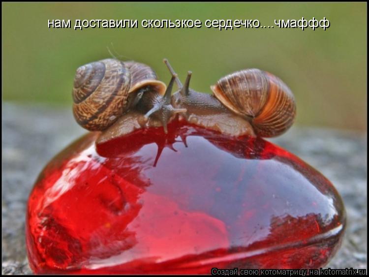 нам доставили скользкое сердечко....чмаффф... Котоматрица: нам доставили скользкое сердечко....чмаффф