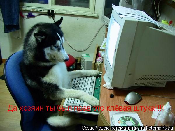 Котоматрица: Да хозяин ты был прав это клёвая штука!!!!