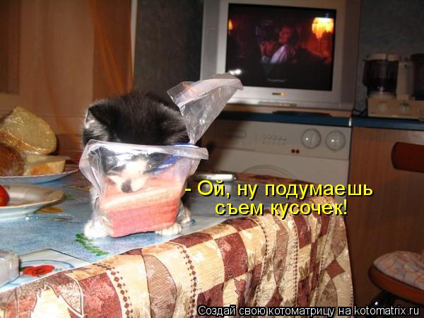 - Ой, ну подумаешь съем кусочек!... Котоматрица: - Ой, ну подумаешь съем кусочек!