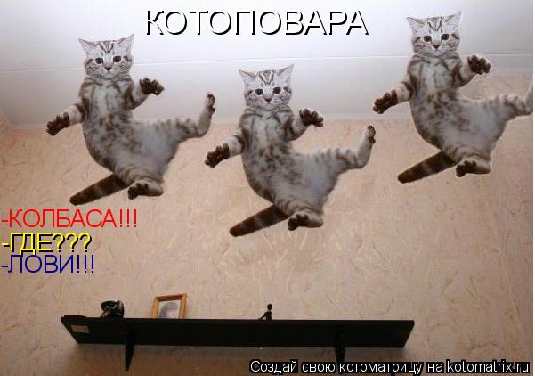 Котоматрица: -КОЛБАСА!!! -ГДЕ??? -ЛОВИ!!! КОТОПОВАРА