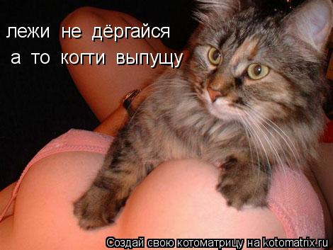 лежи не дёргайся а то когти выпущу... Котоматрица: лежи не дёргайся а то когти выпущу