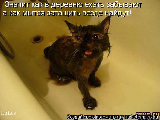 Значит как в деревню ехать забывают а как мытся затащить везде найдут!... Котоматрица: Значит как в деревню ехать забывают а как мытся затащить везде найдут!