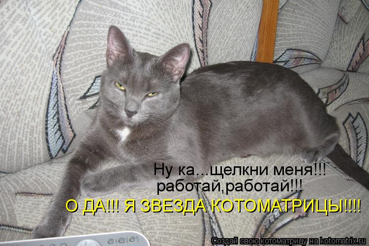 Ну ка...щелкни меня!!! работай,работай!!! О ДА!!! Я ЗВЕЗДА КОТОМАТРИЦЫ!!!!... Котоматрица: Ну ка...щелкни меня!!! работай,работай!!! О ДА!!! Я ЗВЕЗДА КОТОМАТРИЦЫ!!!!