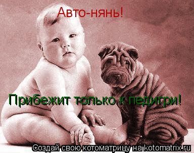 Авто-нянь! Прибежит только к педигри!... Котоматрица: Авто-нянь! Прибежит только к педигри!