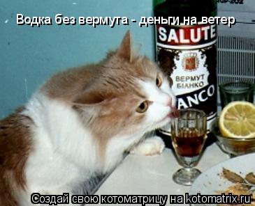 Водка без вермута - деньги на ветер... Котоматрица: Водка без вермута - деньги на ветер
