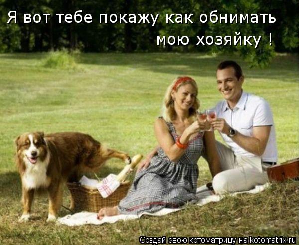 Котоматрица: Я вот тебе покажу как обнимать мою хозяйку !