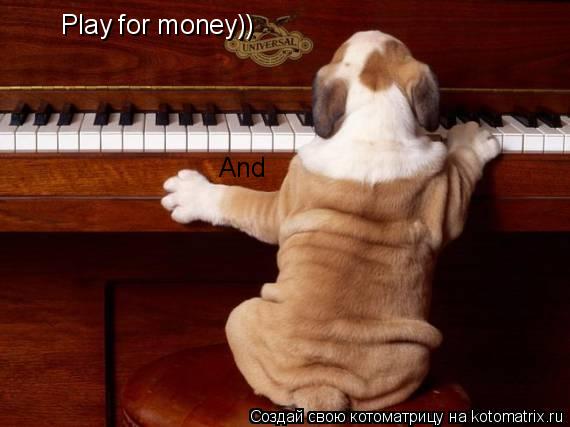 Play for money)) And... Котоматрица: Play for money)) And