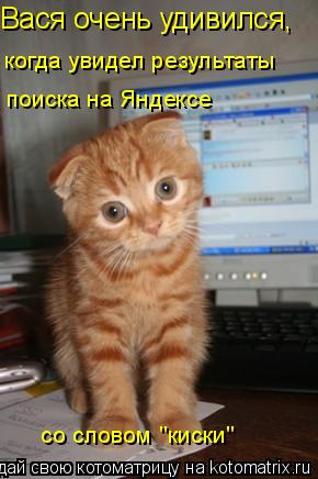 Котоматрица: Вася очень удивился, когда увидел результаты поиска на Яндексе со словом "киски"