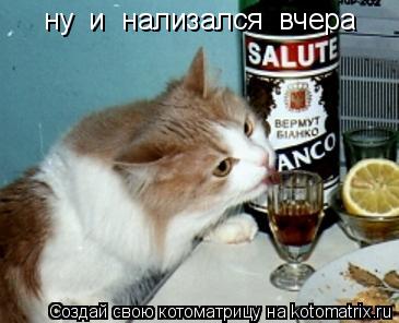 Котоматрица: ну  и  нализался  вчера
