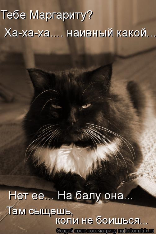 Котоматрица: Ха-ха-ха.... наивный какой... Нет ее... На балу она... Там сыщешь,  коли не боишься... Тебе Маргариту?
