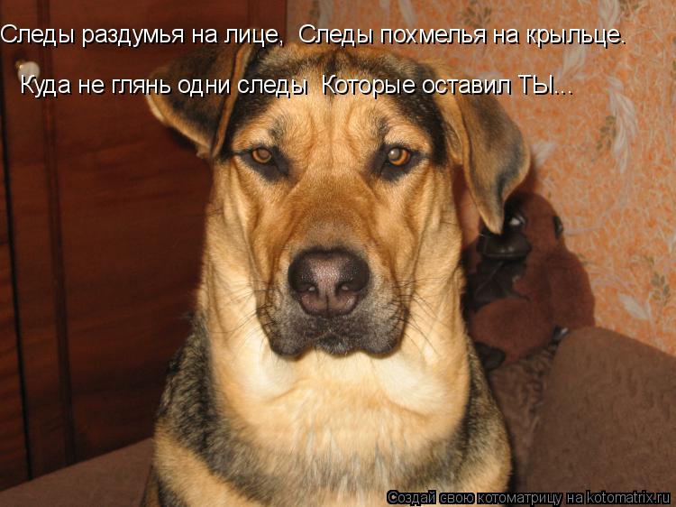 Следы раздумья на лице, Следы похмелья на крыльце. Куда не глянь одни следы Которые оставил ТЫ...... Котоматрица: Следы раздумья на лице, Следы похмелья на крыльце. Куда не глянь одни следы Которые оставил ТЫ...