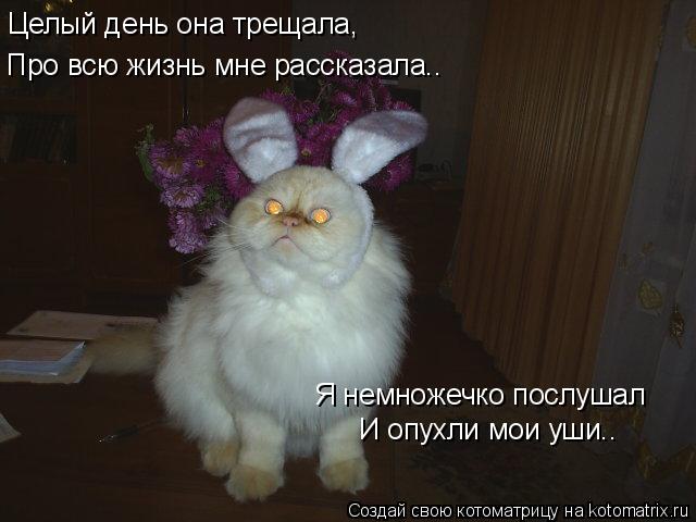 Целый день она трещала, Про всю жизнь мне рассказала.. Я немножечко послушал И опухли мои уши..... Котоматрица: Целый день она трещала, Про всю жизнь мне рассказала.. Я немножечко послушал И опухли мои уши..