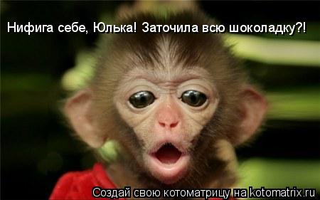 Нифига себе, Юлька! Заточила всю шоколадку?! Нифига себе, Юлька! Заточила всю шоколадку?!... Котоматрица: Нифига себе, Юлька! Заточила всю шоколадку?! Нифига себе, Юлька! Заточила всю шоколадку?!