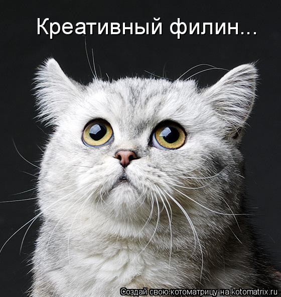 Креативный филин...... Котоматрица: Креативный филин...