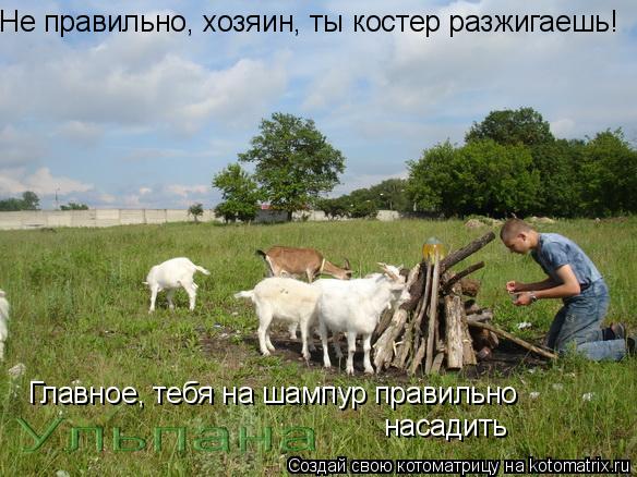 Котоматрица: Не правильно, хозяин, ты костер разжигаешь! Главное, тебя на шампур правильно насадить