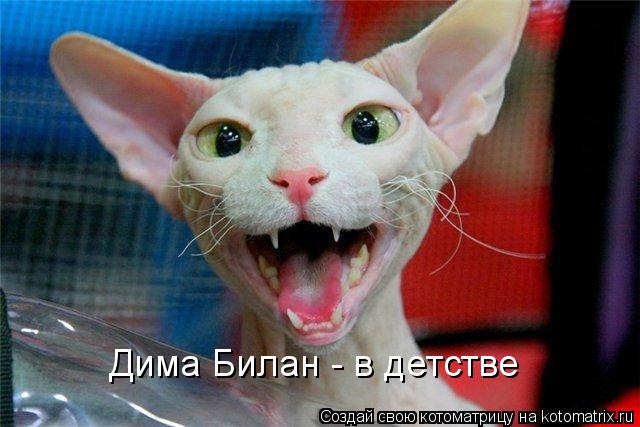 Дима Билан - в детстве... Котоматрица: Дима Билан - в детстве