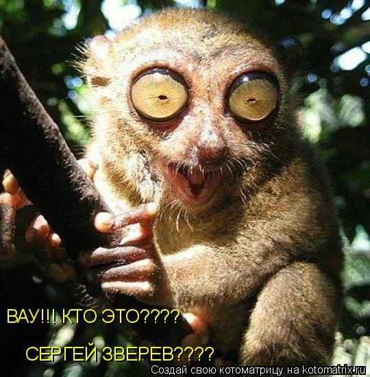 ВАУ!!! КТО ЭТО???? СЕРГЕЙ ЗВЕРЕВ????... Котоматрица: ВАУ!!! КТО ЭТО???? СЕРГЕЙ ЗВЕРЕВ????