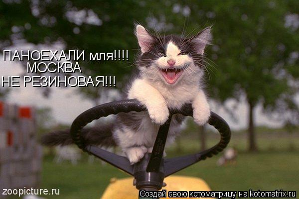 Котоматрица: ПАНОЕХАЛИ мля!!!! МОСКВА НЕ РЕЗИНОВАЯ!!!