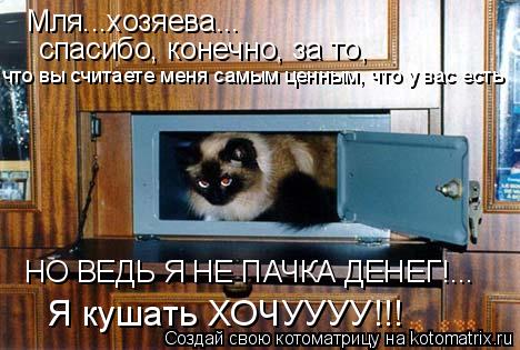 Мля...хозяева... спасибо, конечно, за то, что вы считаете меня самым ценным, что у вас есть НО ВЕДЬ ... Котоматрица: Мля...хозяева... спасибо, конечно, за то, что вы считаете меня самым ценным, что у вас есть НО ВЕДЬ Я НЕ ПАЧКА ДЕНЕГ!... Я кушать ХОЧУУУУ!!!