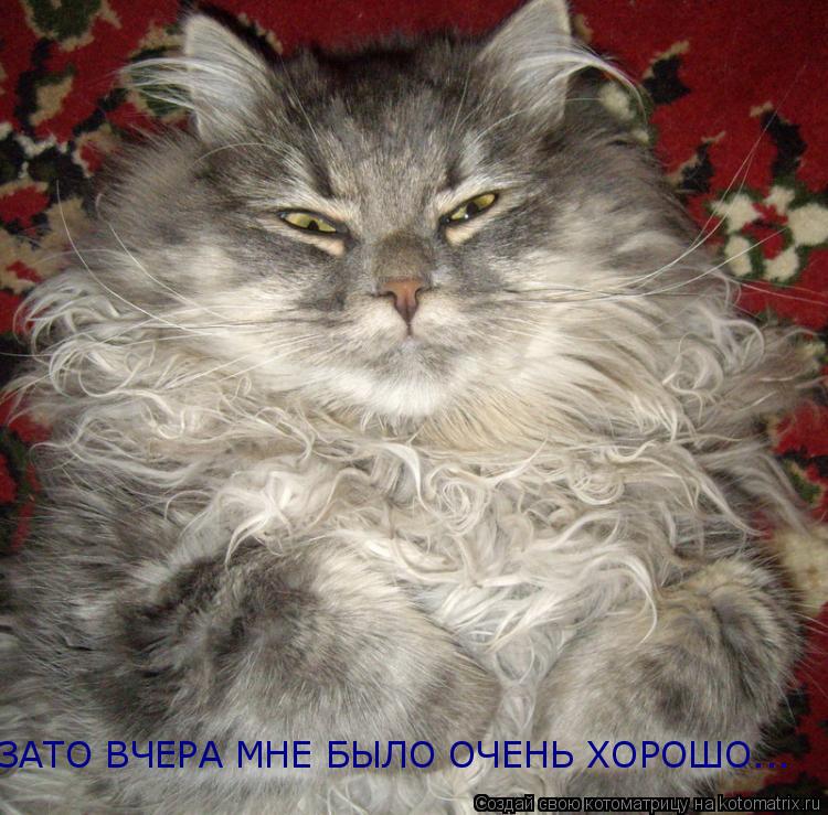 ЗАТО ВЧЕРА МНЕ БЫЛО ОЧЕНЬ ХОРОШО...... Котоматрица: ЗАТО ВЧЕРА МНЕ БЫЛО ОЧЕНЬ ХОРОШО...