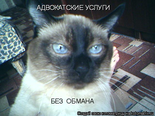 Котоматрица: АДВОКАТСКИЕ УСЛУГИ АДВОКАТСКИЕ УСЛУГИ БЕЗ  ОБМАНА