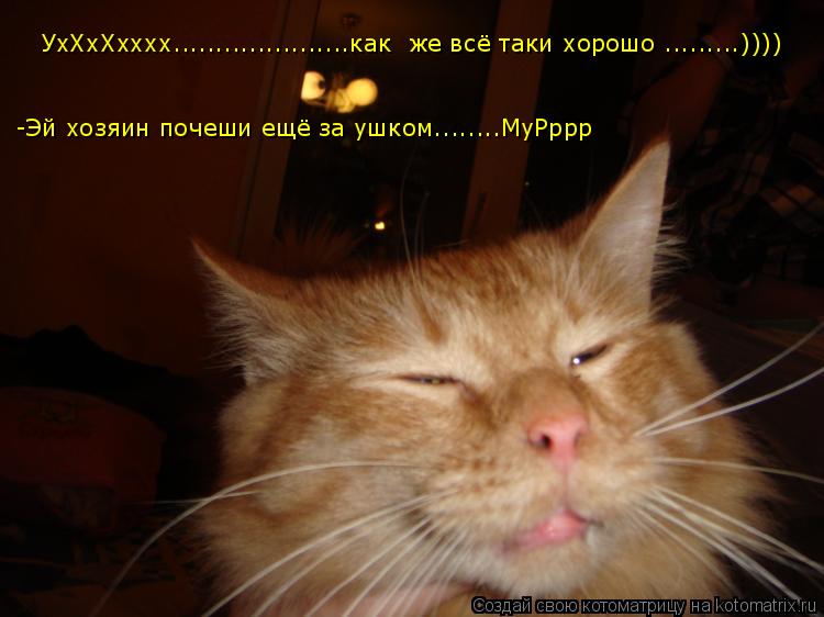 УхХхХхххх.....................как же всё таки хорошо .........)))) УхХхХхххх.....................как... Котоматрица: УхХхХхххх.....................как же всё таки хорошо .........)))) УхХхХхххх.....................как же всё таки хорошо .........)))) -Эй хозяин поч