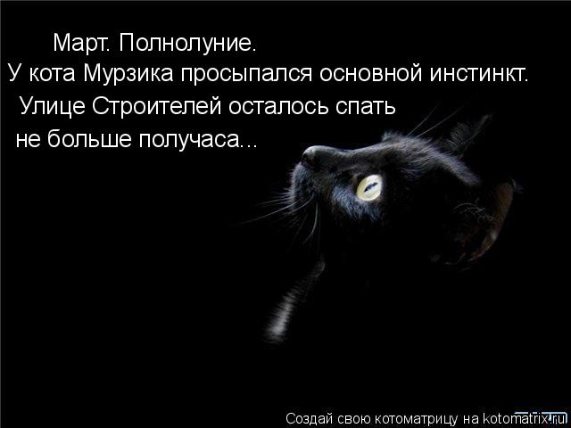 Март. Полнолуние. У кота Мурзика просыпался основной инстинкт. Улице Строителей осталось спать не бол... Котоматрица: Март. Полнолуние. У кота Мурзика просыпался основной инстинкт. Улице Строителей осталось спать не больше получаса...