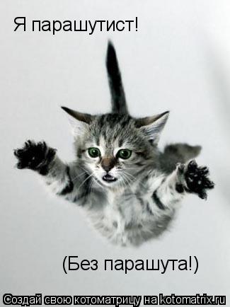 Я парашутист! (Без парашута!)... Котоматрица: Я парашутист! (Без парашута!)