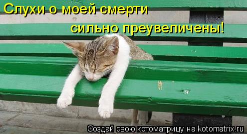 Слухи о моей смерти сильно преувеличены!... Котоматрица: Слухи о моей смерти сильно преувеличены!