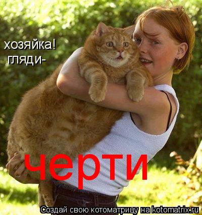 хозяйка! гляди- черти... Котоматрица: хозяйка! гляди- черти