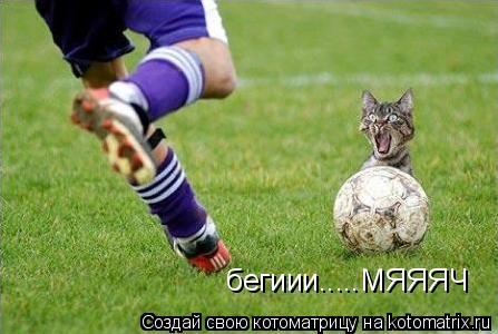 Котоматрица: бегиии.....МЯЯЯЧ