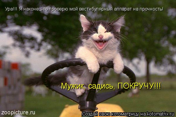Ура!!! Я наконец-то проверю мой вестибулярный аппарат на прочность! Мужик, садись, ПОКРУЧУ!!!... Котоматрица: Ура!!! Я наконец-то проверю мой вестибулярный аппарат на прочность! Мужик, садись, ПОКРУЧУ!!!