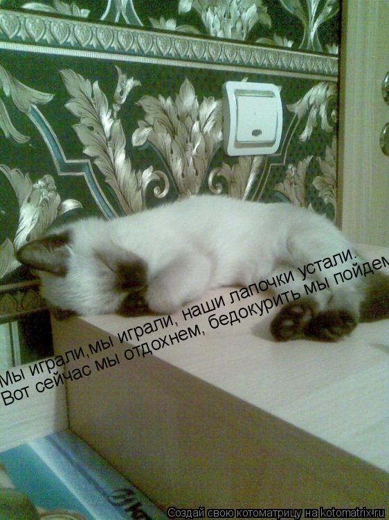 Мы играли,мы играли, наши лапочки устали. Вот сейчас мы отдохнем, бедокурить мы пойдем Мы играли,мы и... Котоматрица: Мы играли,мы играли, наши лапочки устали. Вот сейчас мы отдохнем, бедокурить мы пойдем Мы играли,мы играли, наши лапочки устали. Вот сейчас м