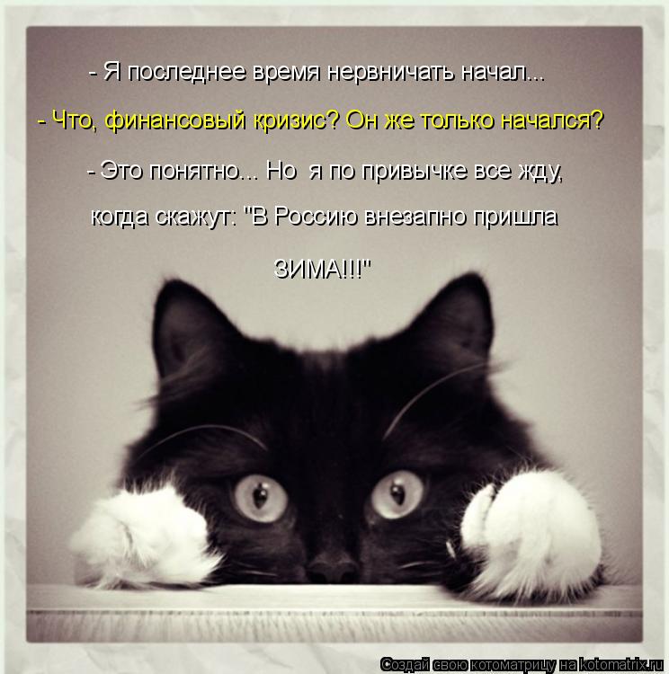 - Я последнее время нервничать начал... - Что, финансовый кризис? Он же только начался? - Это понят... Котоматрица: - Я последнее время нервничать начал... - Что, финансовый кризис? Он же только начался? - Это понятно... Но я по привычке все жду, когда скажут: "