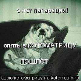 о нет папарации! опять в КОТОМАТРИЦУ пошлёт... Котоматрица: о нет папарации! опять в КОТОМАТРИЦУ пошлёт