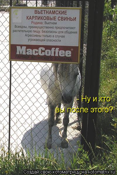 - Ну и кто вы после этого?... Котоматрица: - Ну и кто вы после этого?