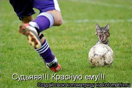 Судьяяя!!! Красную ему!!!... Котоматрица: Судьяяя!!! Красную ему!!!