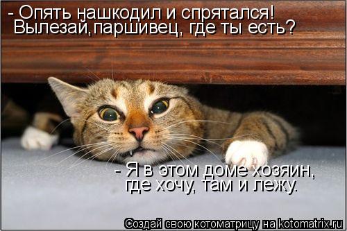 - Опять нашкодил и спрятался! Вылезай,паршивец, где ты есть? - Я в этом доме хозяин, где хочу, там и ... Котоматрица: - Опять нашкодил и спрятался! Вылезай,паршивец, где ты есть? - Я в этом доме хозяин, где хочу, там и лежу.