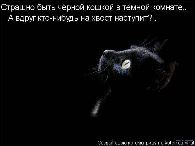 Котоматрица: Страшно быть чёрной кошкой в тёмной комнате.. А вдруг кто-нибудь на хвост наступит?..