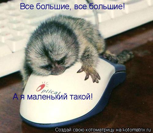Все большие, все большие! А я маленький такой!... Котоматрица: Все большие, все большие! А я маленький такой!