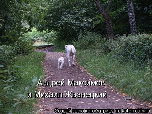 Андрей Максимов и Михаил Жванецкий... Котоматрица: Андрей Максимов и Михаил Жванецкий