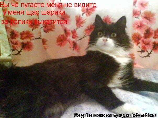 Вы чё пугаете меня не видите у меня щас шарики за ролики выкатится... Котоматрица: Вы чё пугаете меня не видите у меня щас шарики за ролики выкатится