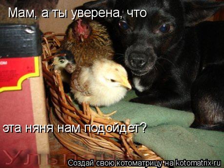 Мам, а ты уверена, что эта няня нам подойдет?... Котоматрица: Мам, а ты уверена, что эта няня нам подойдет?