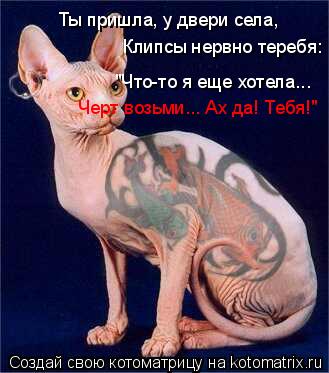 Ты пришла, у двери села, Клипсы нервно теребя: "Что-то я еще хотела... Черт возьми... Ах да! Тебя!... Котоматрица: Ты пришла, у двери села, Клипсы нервно теребя: "Что-то я еще хотела... Черт возьми... Ах да! Тебя!"